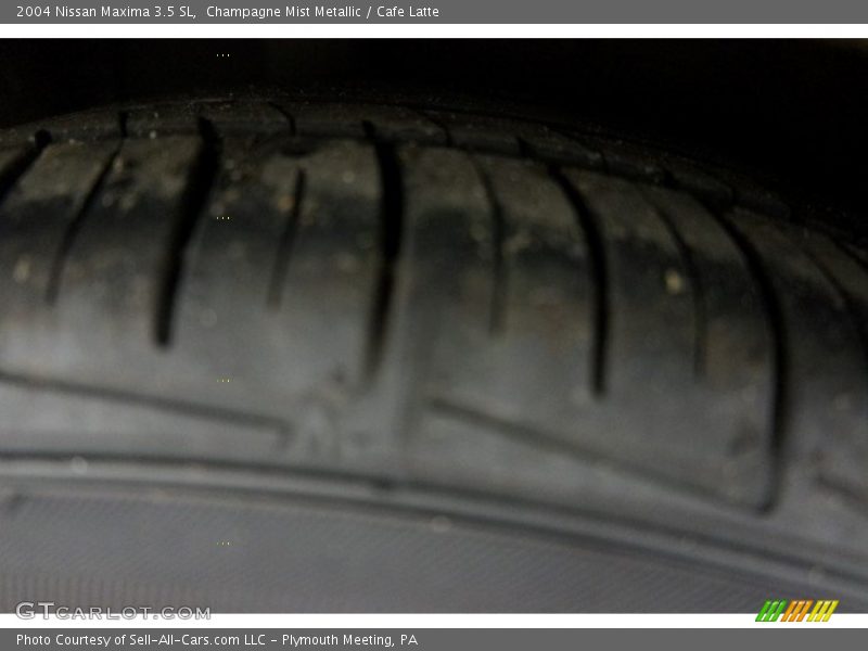 Champagne Mist Metallic / Cafe Latte 2004 Nissan Maxima 3.5 SL