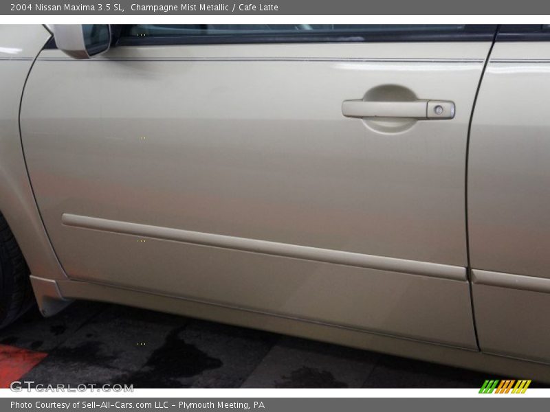 Champagne Mist Metallic / Cafe Latte 2004 Nissan Maxima 3.5 SL