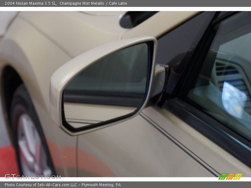 Champagne Mist Metallic / Cafe Latte 2004 Nissan Maxima 3.5 SL