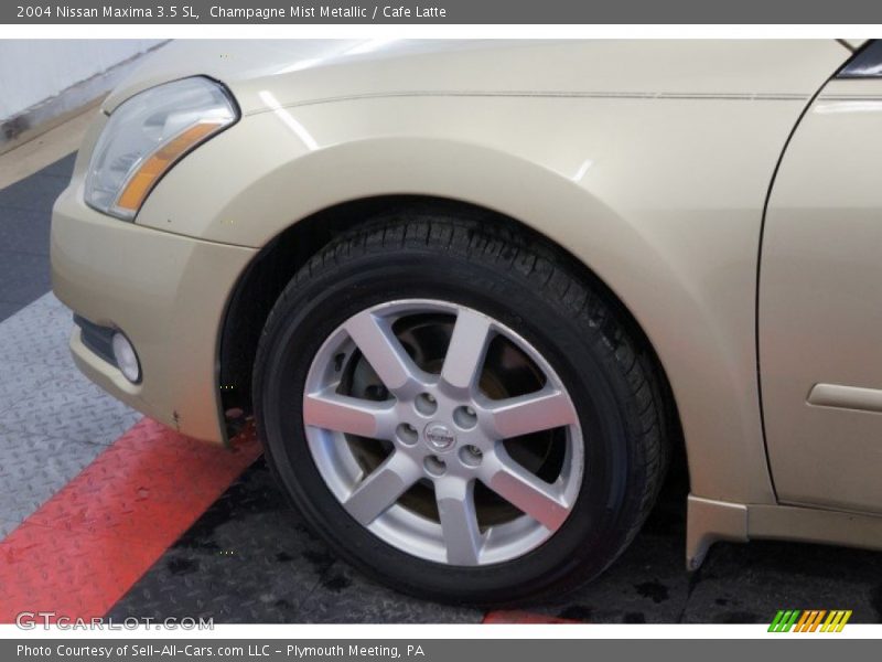 Champagne Mist Metallic / Cafe Latte 2004 Nissan Maxima 3.5 SL