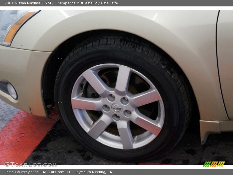 Champagne Mist Metallic / Cafe Latte 2004 Nissan Maxima 3.5 SL