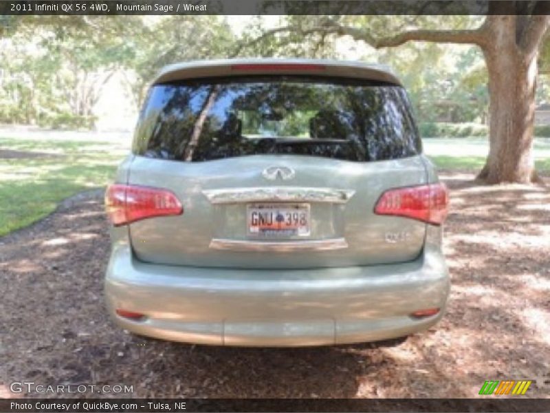 Mountain Sage / Wheat 2011 Infiniti QX 56 4WD