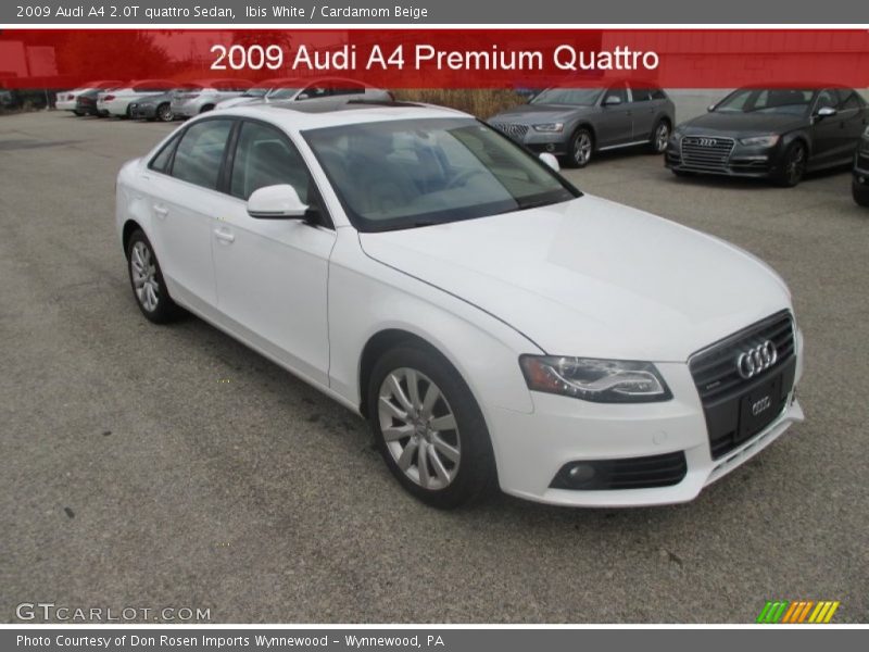 Ibis White / Cardamom Beige 2009 Audi A4 2.0T quattro Sedan