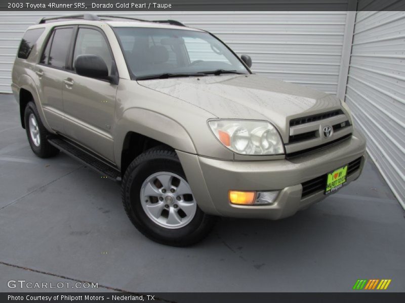 Dorado Gold Pearl / Taupe 2003 Toyota 4Runner SR5