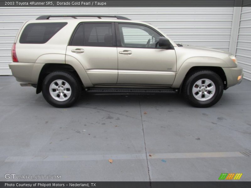Dorado Gold Pearl / Taupe 2003 Toyota 4Runner SR5