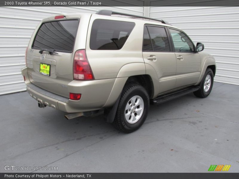 Dorado Gold Pearl / Taupe 2003 Toyota 4Runner SR5