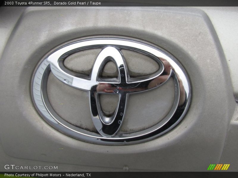 Dorado Gold Pearl / Taupe 2003 Toyota 4Runner SR5