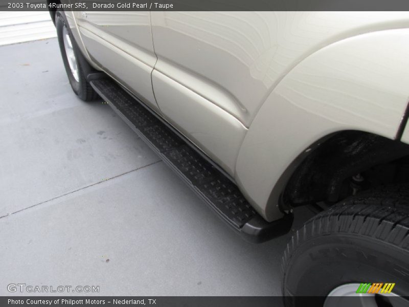 Dorado Gold Pearl / Taupe 2003 Toyota 4Runner SR5