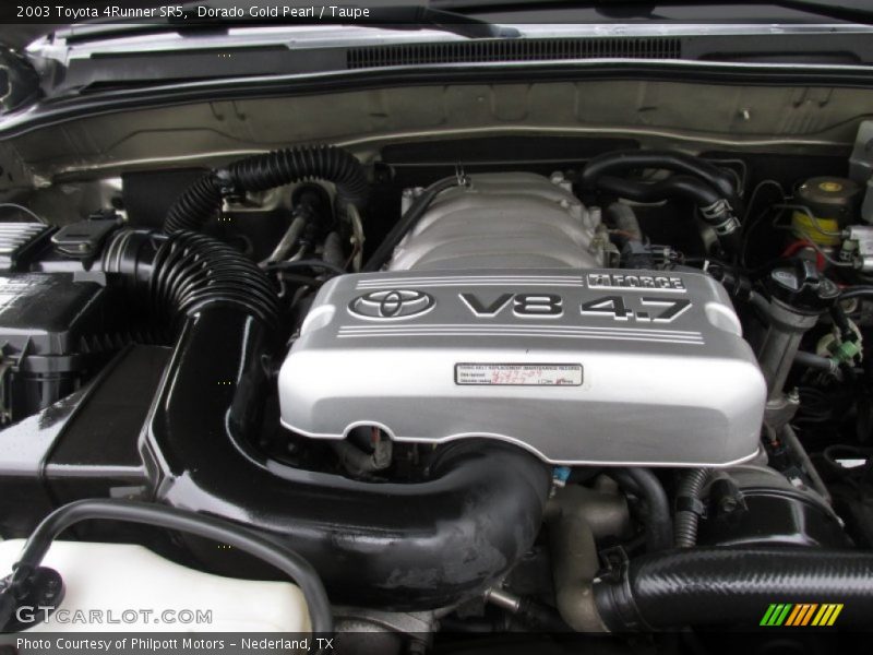 Dorado Gold Pearl / Taupe 2003 Toyota 4Runner SR5