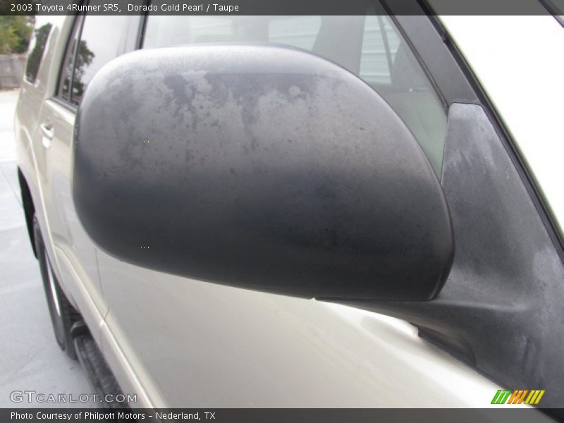 Dorado Gold Pearl / Taupe 2003 Toyota 4Runner SR5