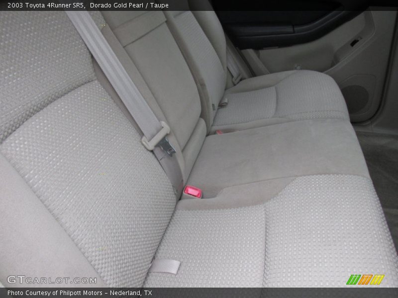 Dorado Gold Pearl / Taupe 2003 Toyota 4Runner SR5