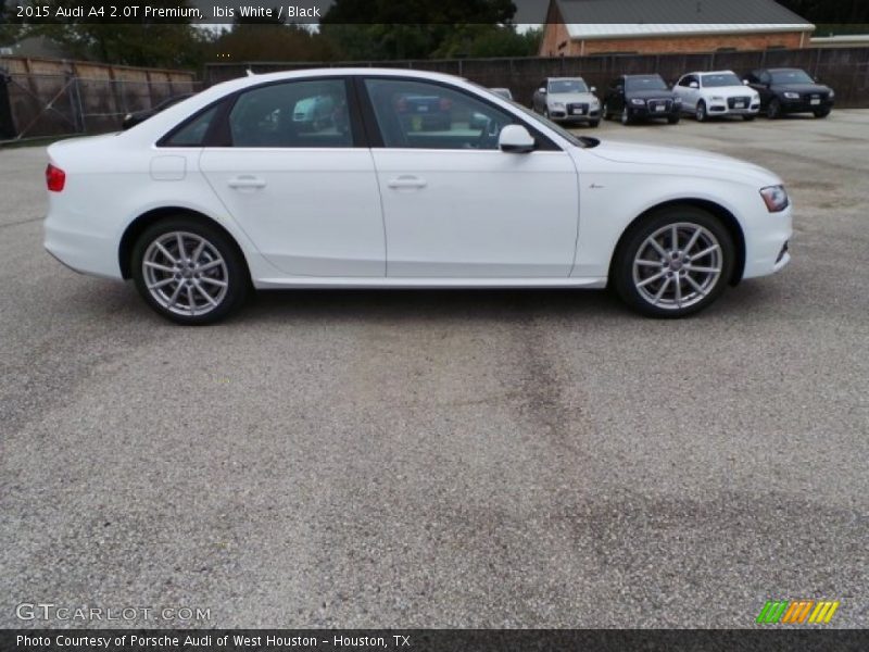 Ibis White / Black 2015 Audi A4 2.0T Premium