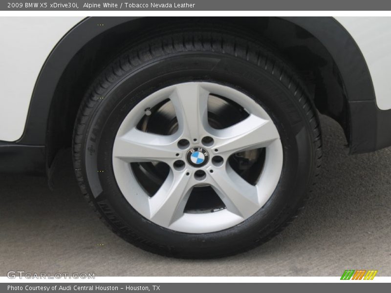 Alpine White / Tobacco Nevada Leather 2009 BMW X5 xDrive30i