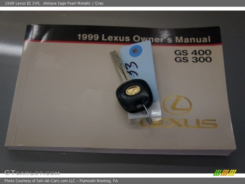Antique Sage Pearl Metallic / Gray 1998 Lexus ES 300