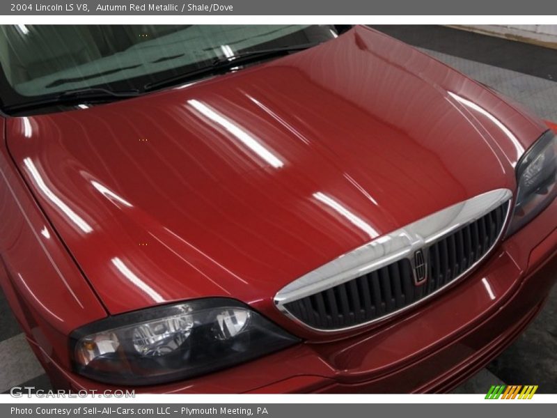 Autumn Red Metallic / Shale/Dove 2004 Lincoln LS V8