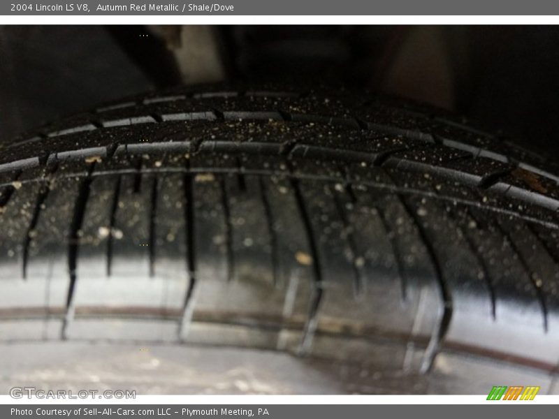 Autumn Red Metallic / Shale/Dove 2004 Lincoln LS V8
