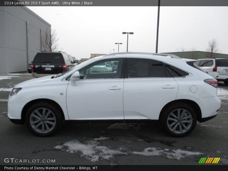 Ultra White / Black 2014 Lexus RX 350 F Sport AWD