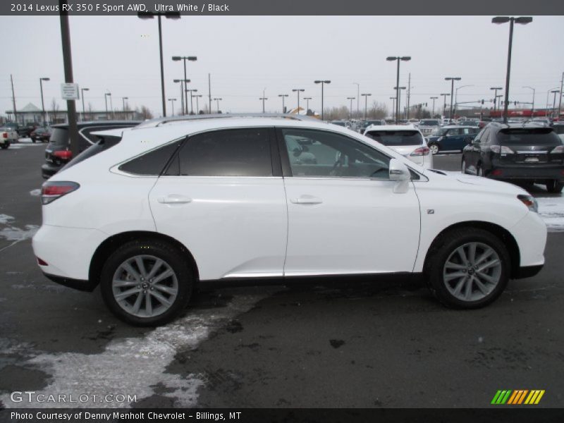 Ultra White / Black 2014 Lexus RX 350 F Sport AWD