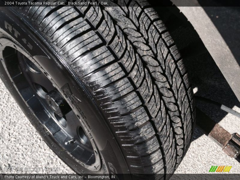 Black Sand Pearl / Oak 2004 Toyota Tacoma Regular Cab