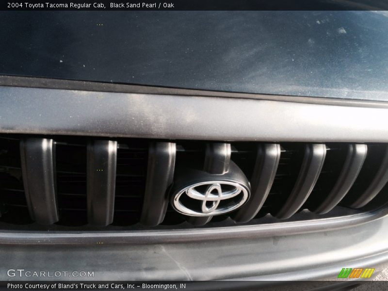 Black Sand Pearl / Oak 2004 Toyota Tacoma Regular Cab
