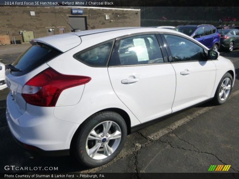 Oxford White / Charcoal Black 2014 Ford Focus SE Hatchback