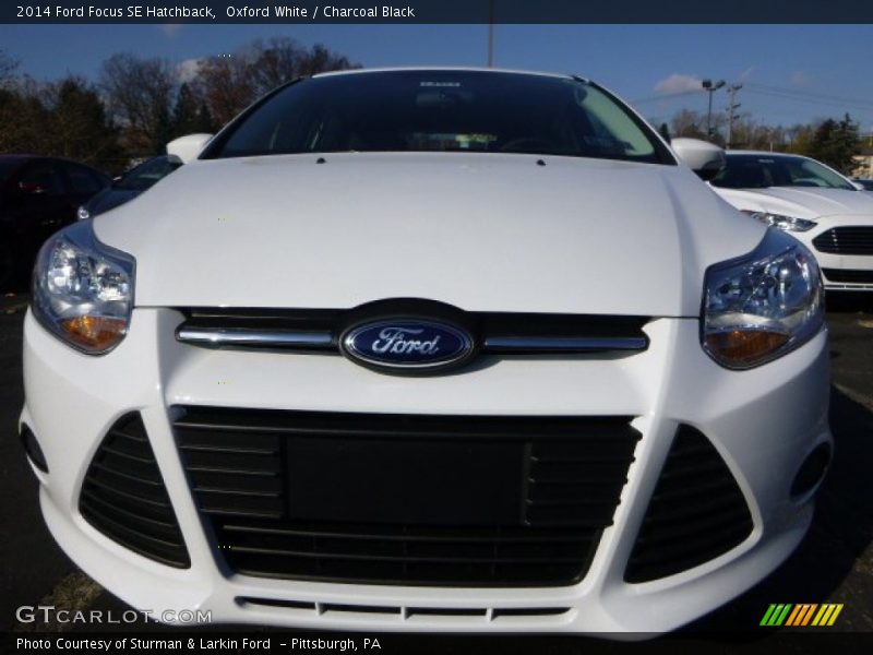 Oxford White / Charcoal Black 2014 Ford Focus SE Hatchback