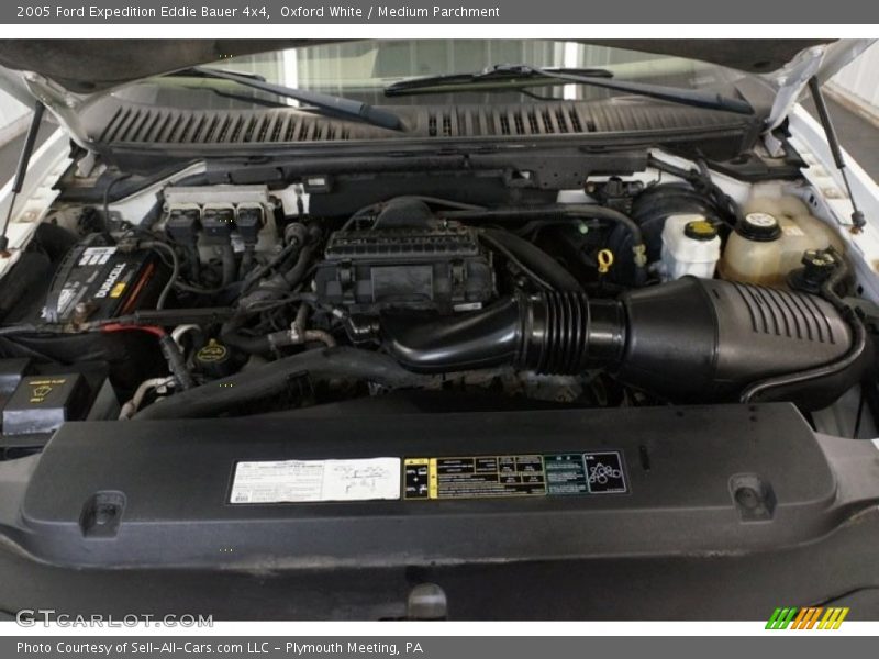 Oxford White / Medium Parchment 2005 Ford Expedition Eddie Bauer 4x4