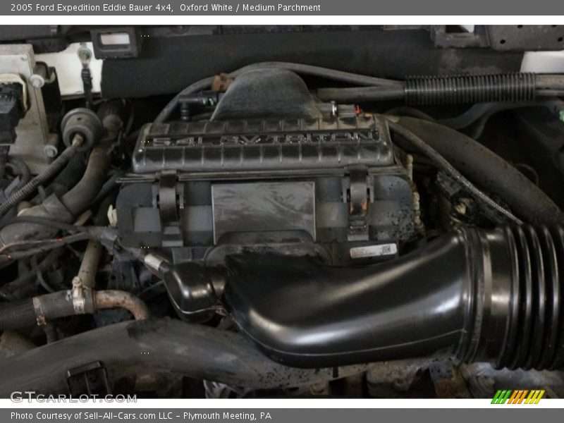 Oxford White / Medium Parchment 2005 Ford Expedition Eddie Bauer 4x4