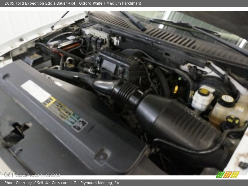 Oxford White / Medium Parchment 2005 Ford Expedition Eddie Bauer 4x4