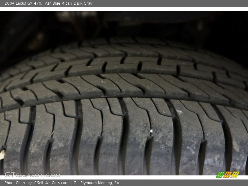 Ash Blue Mica / Dark Gray 2004 Lexus GX 470