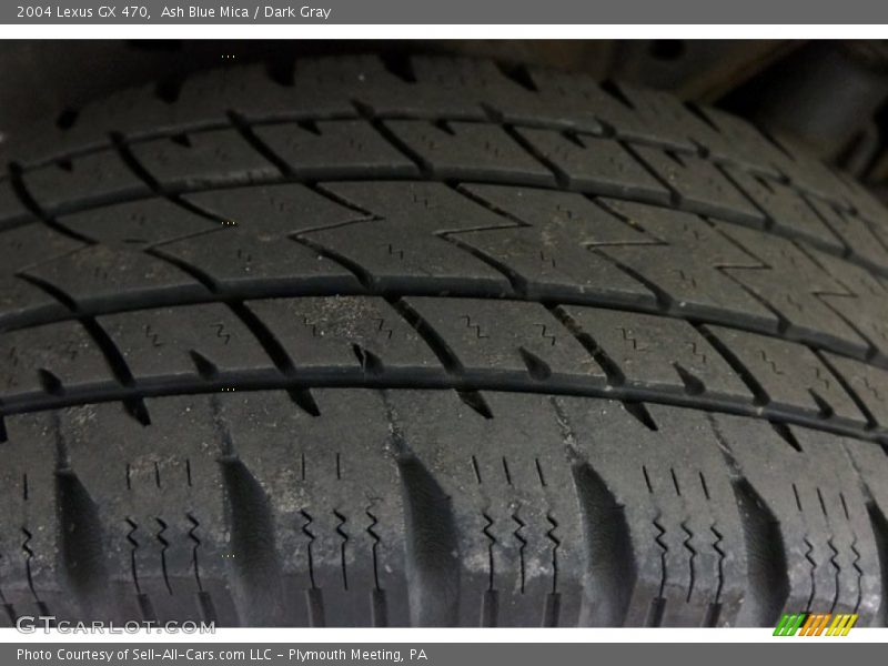Ash Blue Mica / Dark Gray 2004 Lexus GX 470