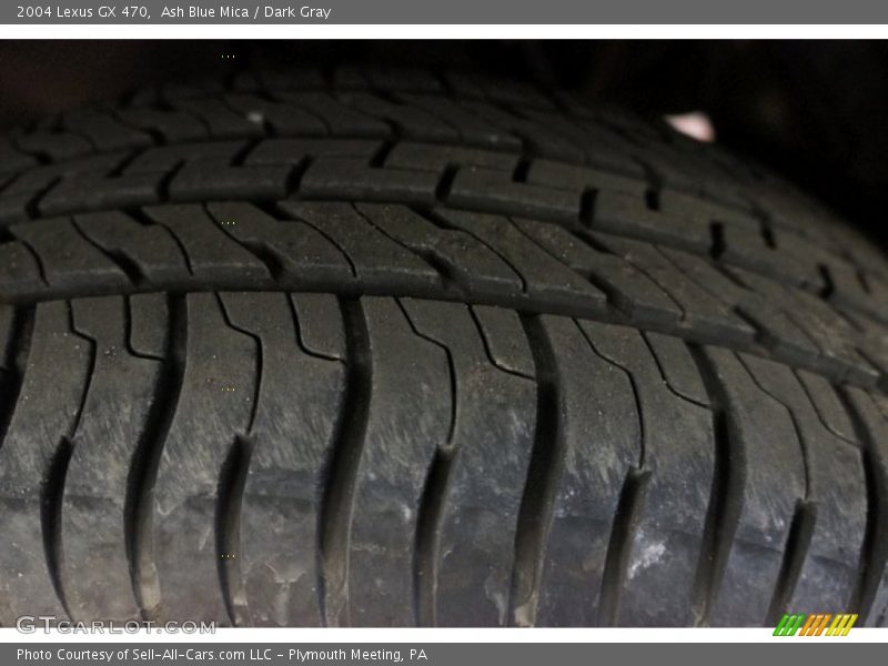Ash Blue Mica / Dark Gray 2004 Lexus GX 470