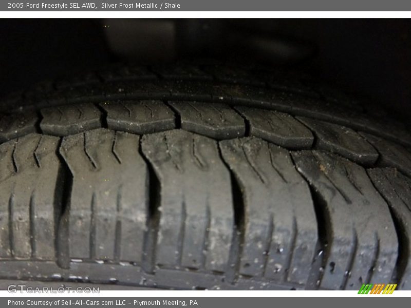 Silver Frost Metallic / Shale 2005 Ford Freestyle SEL AWD