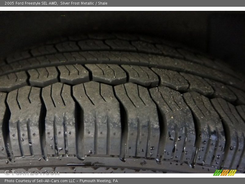 Silver Frost Metallic / Shale 2005 Ford Freestyle SEL AWD