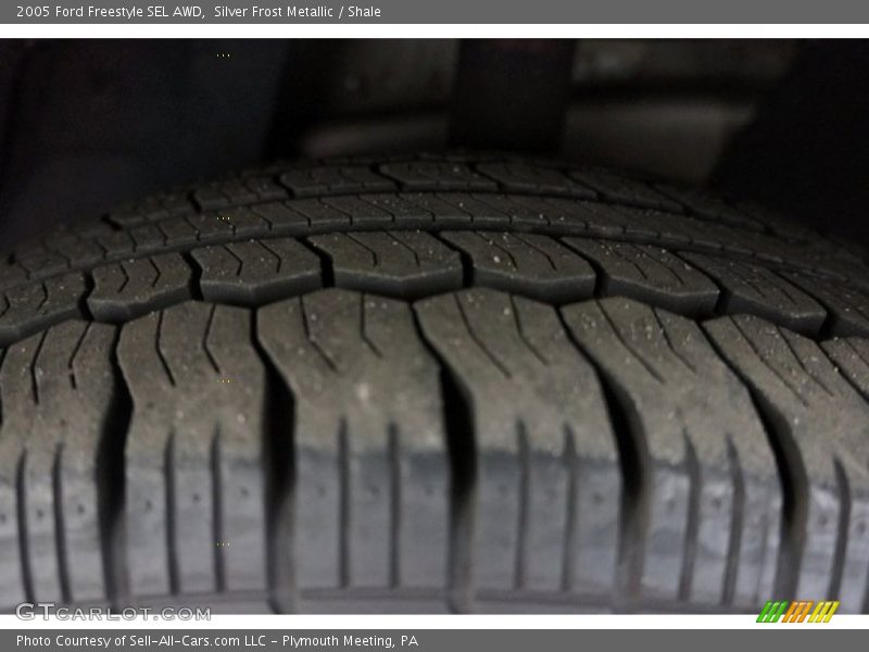Silver Frost Metallic / Shale 2005 Ford Freestyle SEL AWD
