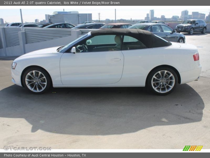 Ibis White / Velvet Beige/Moor Brown 2013 Audi A5 2.0T quattro Cabriolet