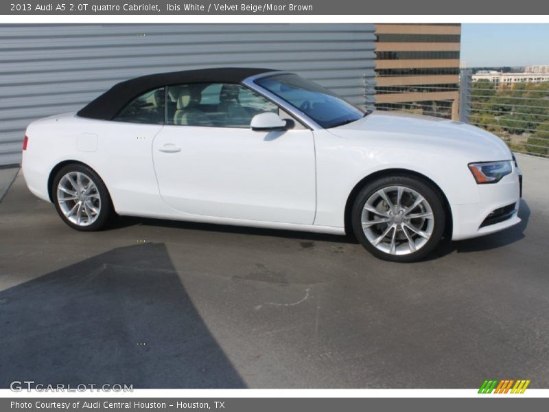Ibis White / Velvet Beige/Moor Brown 2013 Audi A5 2.0T quattro Cabriolet