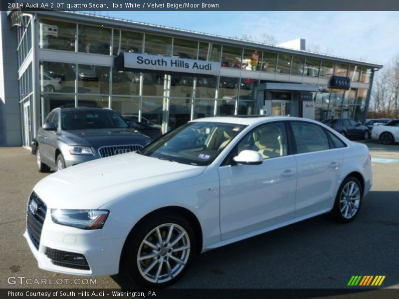 Ibis White / Velvet Beige/Moor Brown 2014 Audi A4 2.0T quattro Sedan