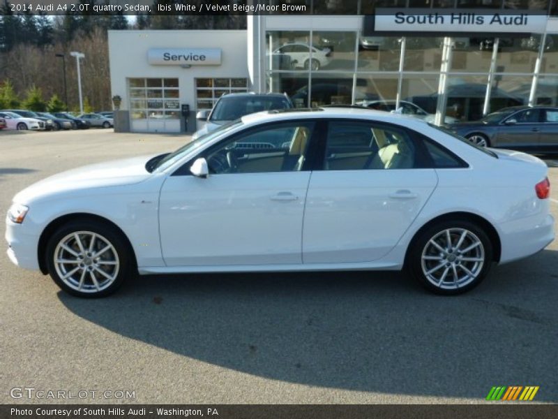 Ibis White / Velvet Beige/Moor Brown 2014 Audi A4 2.0T quattro Sedan