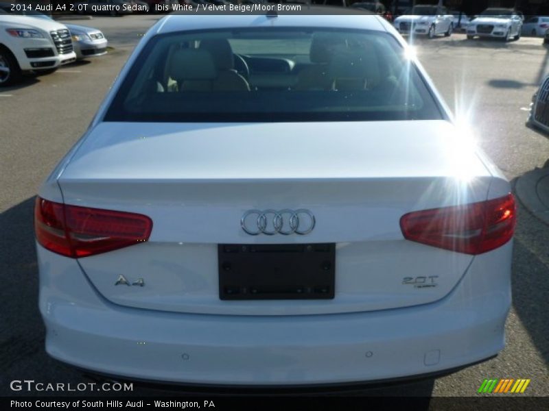 Ibis White / Velvet Beige/Moor Brown 2014 Audi A4 2.0T quattro Sedan