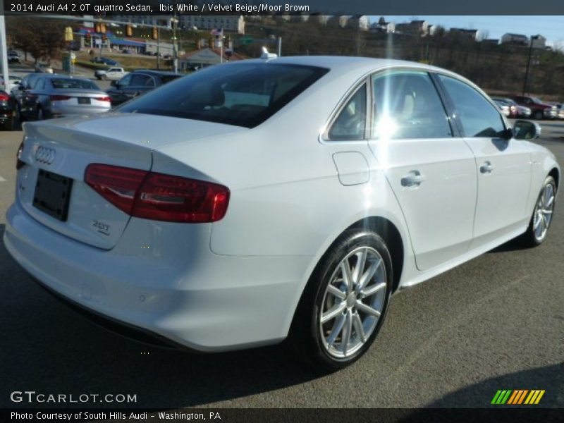 Ibis White / Velvet Beige/Moor Brown 2014 Audi A4 2.0T quattro Sedan