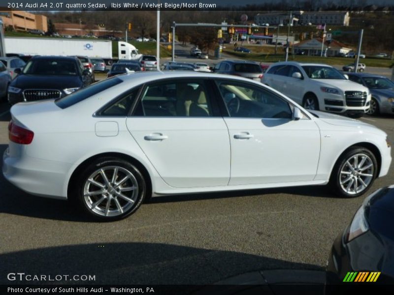 Ibis White / Velvet Beige/Moor Brown 2014 Audi A4 2.0T quattro Sedan