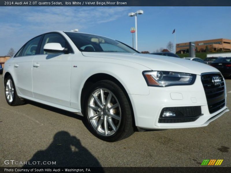 Ibis White / Velvet Beige/Moor Brown 2014 Audi A4 2.0T quattro Sedan