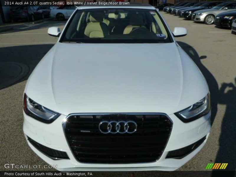Ibis White / Velvet Beige/Moor Brown 2014 Audi A4 2.0T quattro Sedan