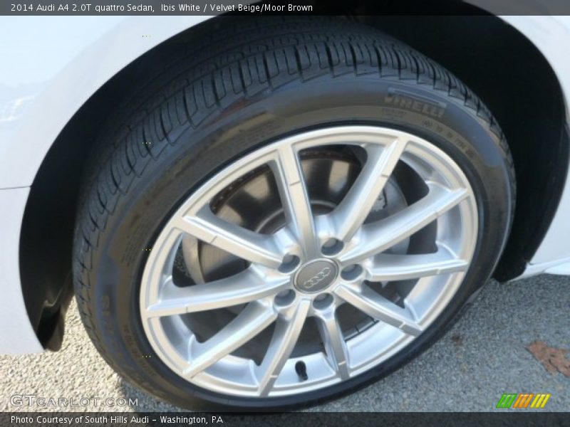 Ibis White / Velvet Beige/Moor Brown 2014 Audi A4 2.0T quattro Sedan