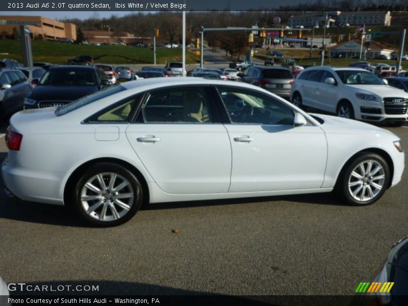 Ibis White / Velvet Beige 2013 Audi A6 2.0T quattro Sedan