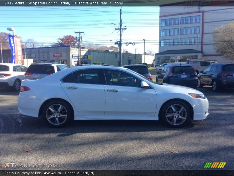 Bellanova White Pearl / Ebony 2012 Acura TSX Special Edition Sedan