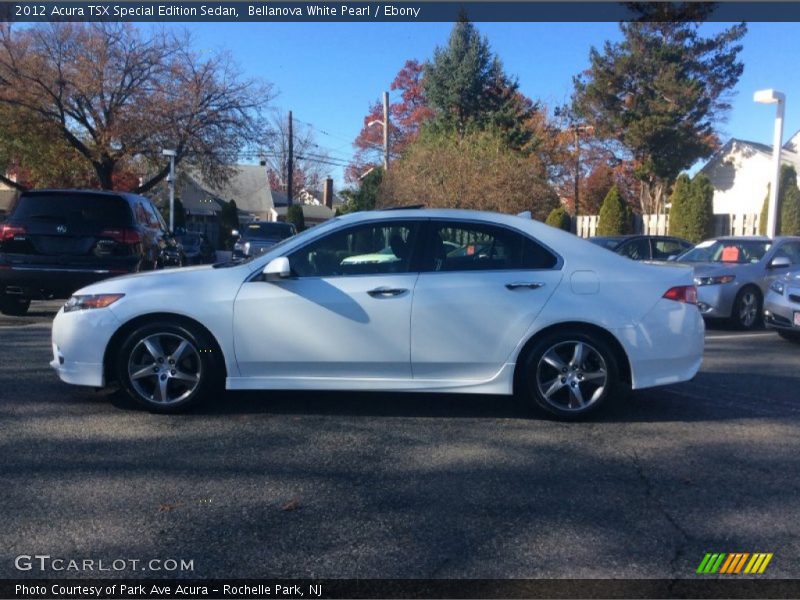 Bellanova White Pearl / Ebony 2012 Acura TSX Special Edition Sedan