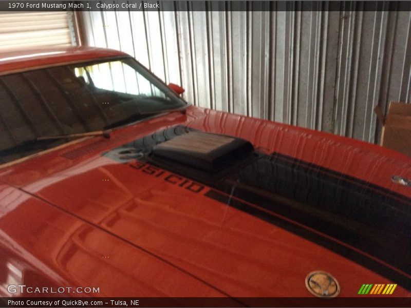 Calypso Coral / Black 1970 Ford Mustang Mach 1
