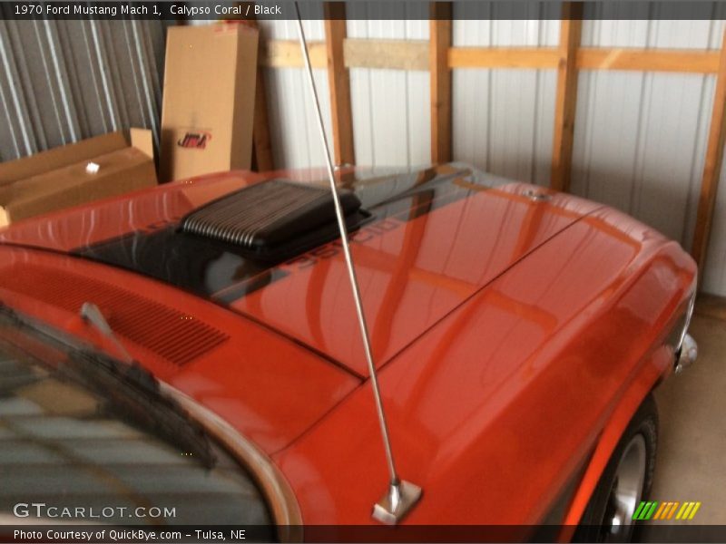 Calypso Coral / Black 1970 Ford Mustang Mach 1